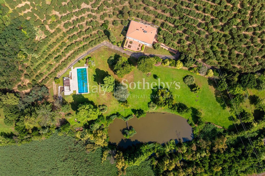 House in Massarosa, Tuscany, Italy 4 - 14109989