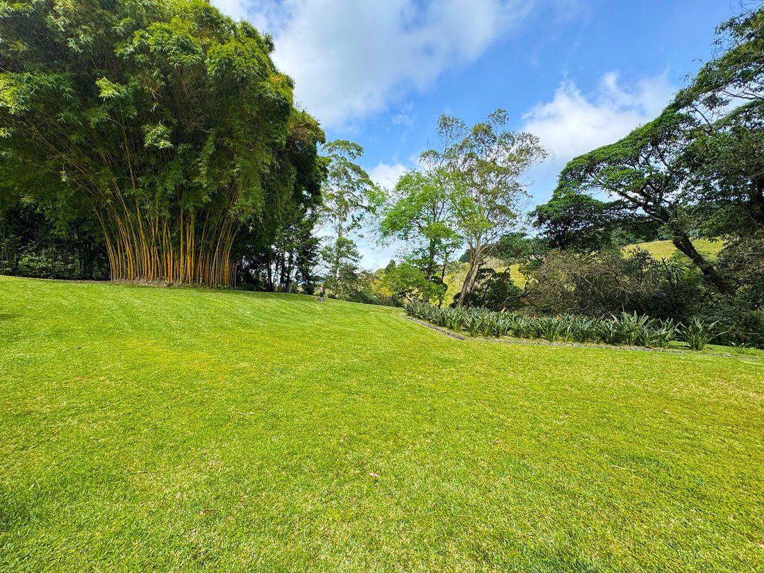 House in San Rafael District, Oreamuno, Cartago Province, Costa Rica 4 - 15850582