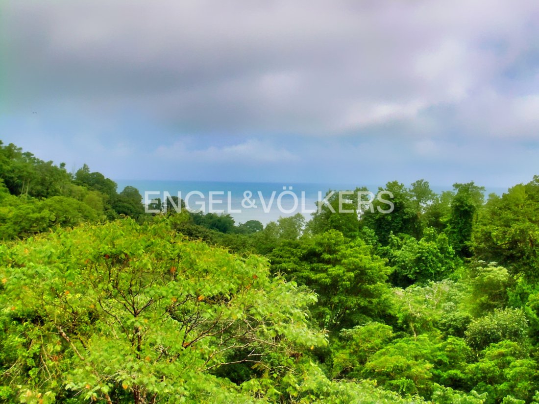 Rancho Quemado, Puntarenas Province, Costa Rica 3 - 15850543