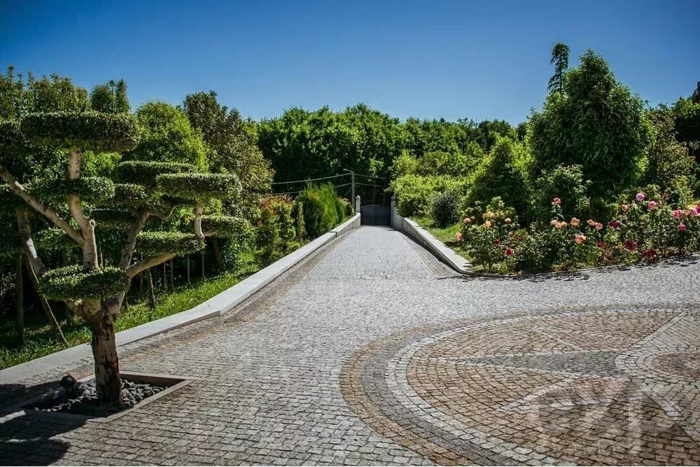 Casa a Vila Nova de Souto d'El-Rei, Distretto di Viseu, Portogallo 2 - 15848321