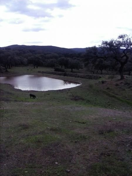 Country House in Aracena, Andalusia, Spain 2 - 15850359
