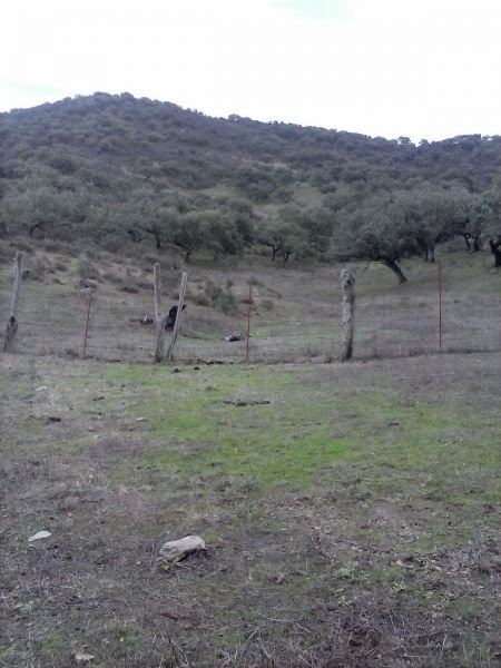 Country House in Aracena, Andalusia, Spain 1 - 15850359
