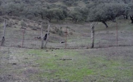 Country House in Aracena, Andalusia, Spain 1