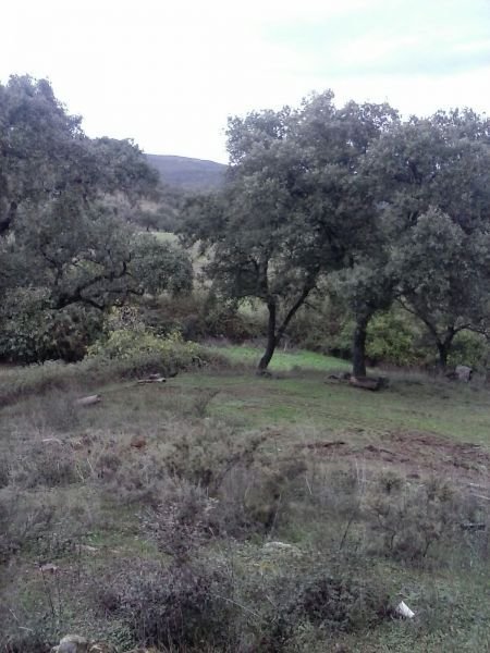 Country House in Aracena, Andalusia, Spain 5 - 15850359