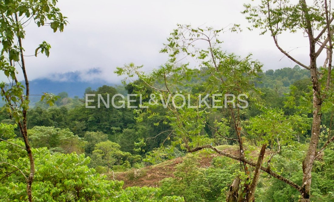 Rancho Quemado, Puntarenas Province, Costa Rica 5 - 15850543