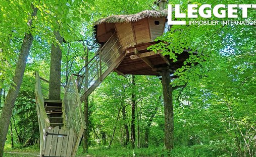 Vienne Department (86) 19th And 20th Century Chateau 345 Acres Of Land