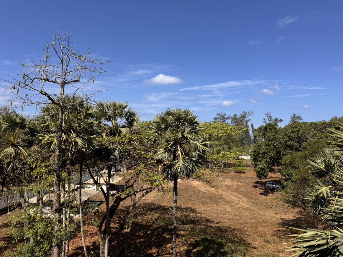 Condo in Choeng Thale, Phuket, Thailand 5 - 15851461