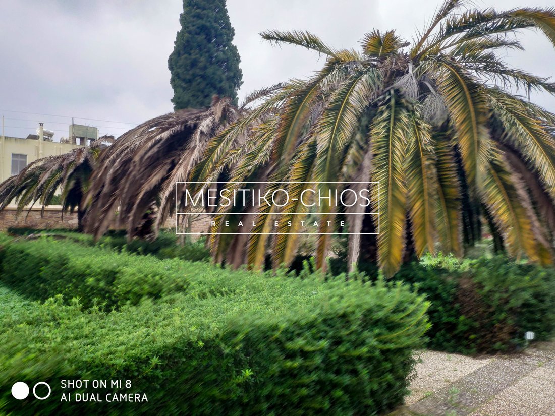 Villa in Chios, Aegean, Greece 5 - 14240240