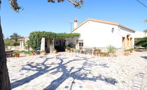 Finca a Elx, Comunità Valenzana, Spagna 1