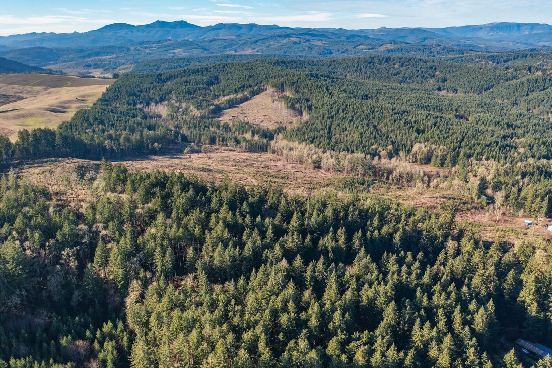 Farm Ranch in Monmouth, Oregon, United States 2 - 15852833