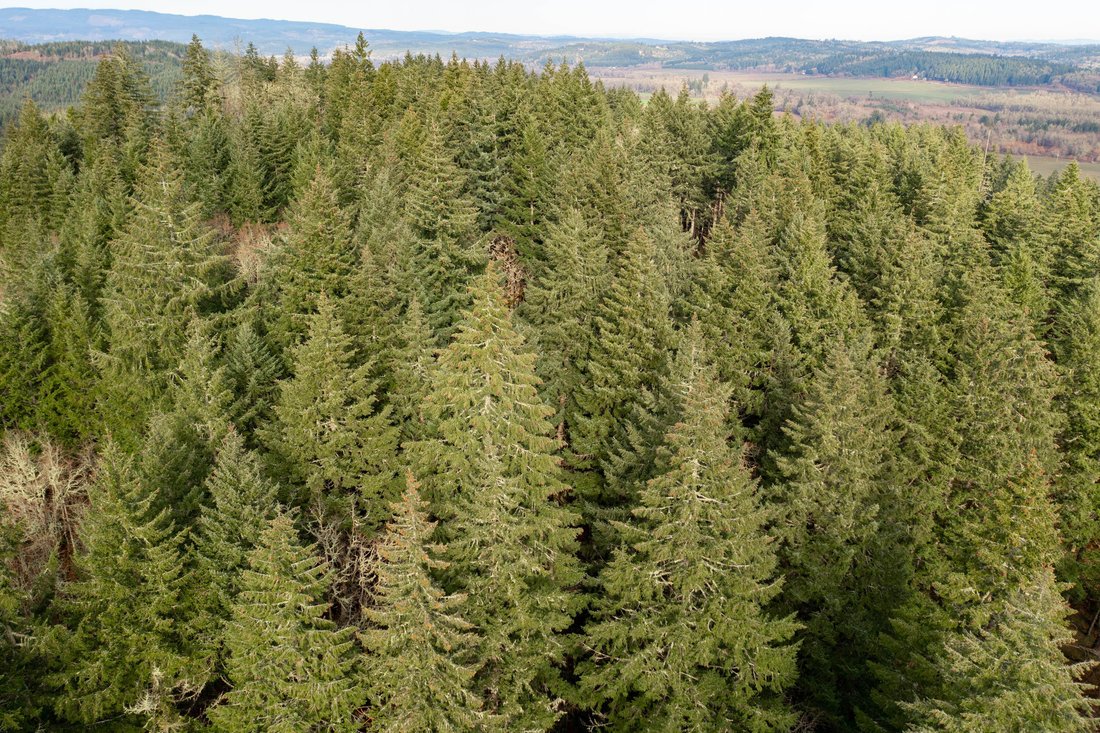 Farm Ranch in Monmouth, Oregon, United States 5 - 15852854