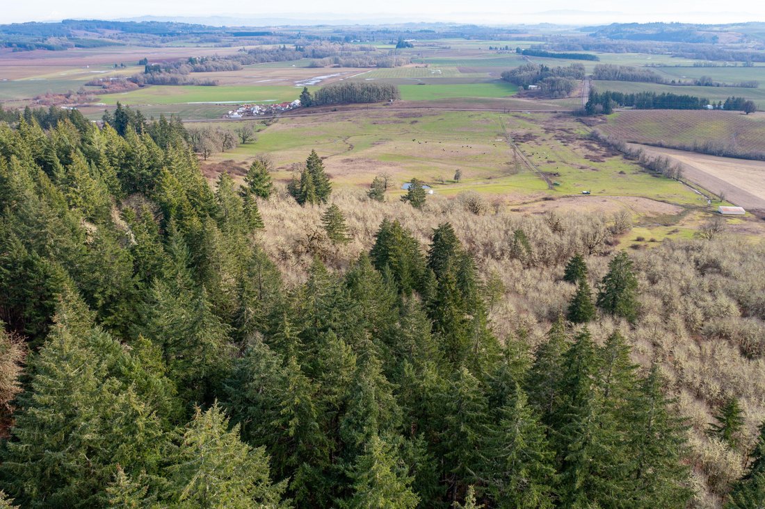 Farm Ranch in Monmouth, Oregon, United States 3 - 15852854