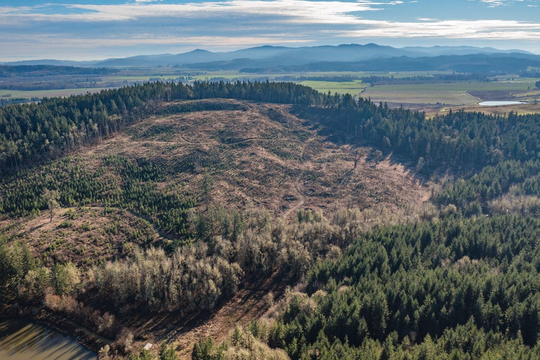 Farm Ranch in Monmouth, Oregon, United States 4 - 15852833