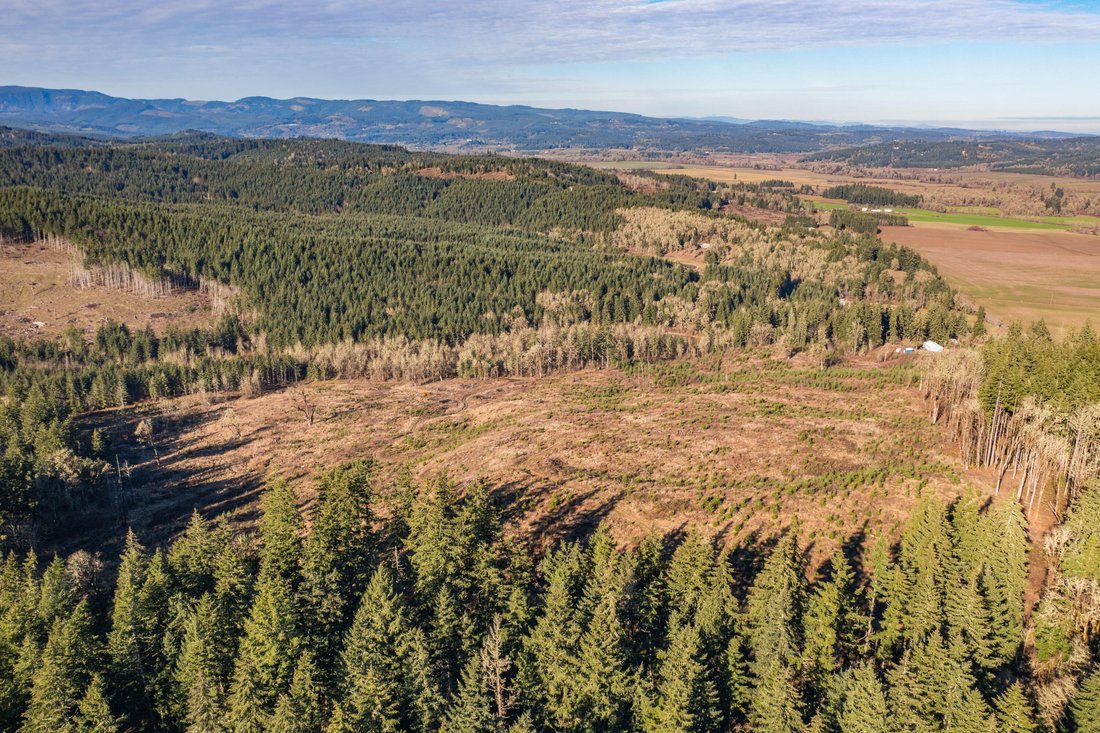 Farm Ranch in Monmouth, Oregon, United States 3 - 15852833