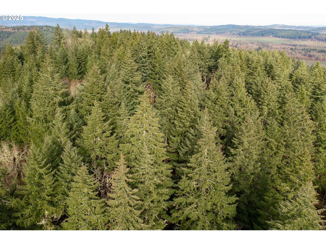 Land in Monmouth, Oregon, United States 5 - 15852845