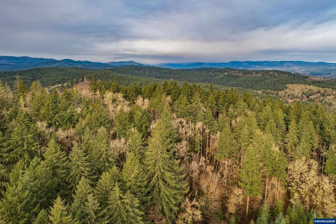 Land in Monmouth, Oregon, United States 5 - 15852869