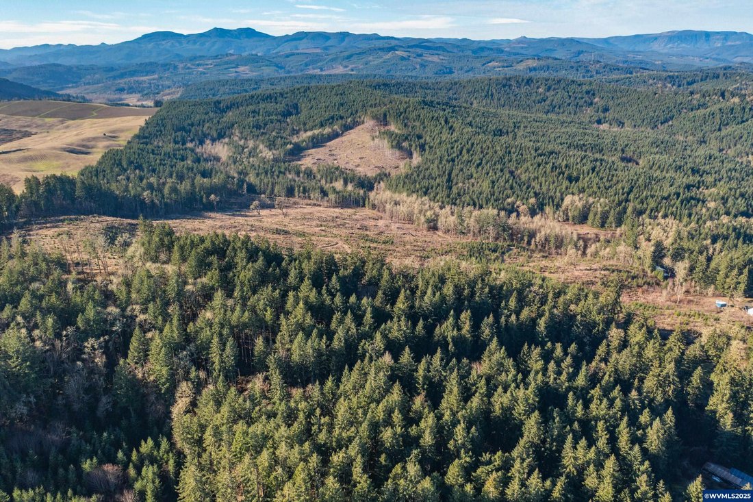 Land in Monmouth, Oregon, United States 2 - 15852869