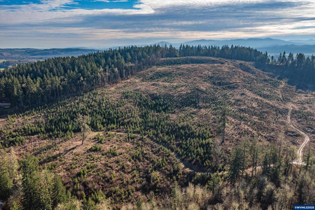 Land in Monmouth, Oregon, United States 4 - 15852869