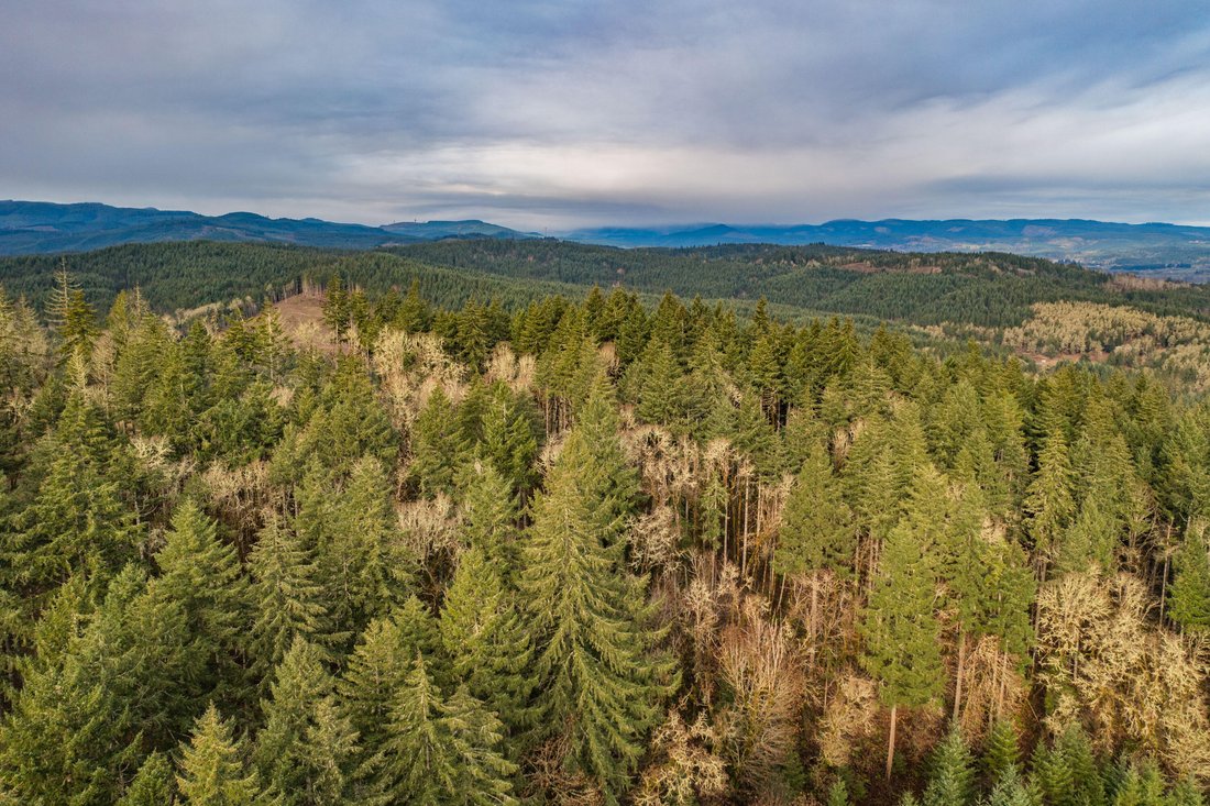 Farm Ranch in Monmouth, Oregon, United States 5 - 15852833