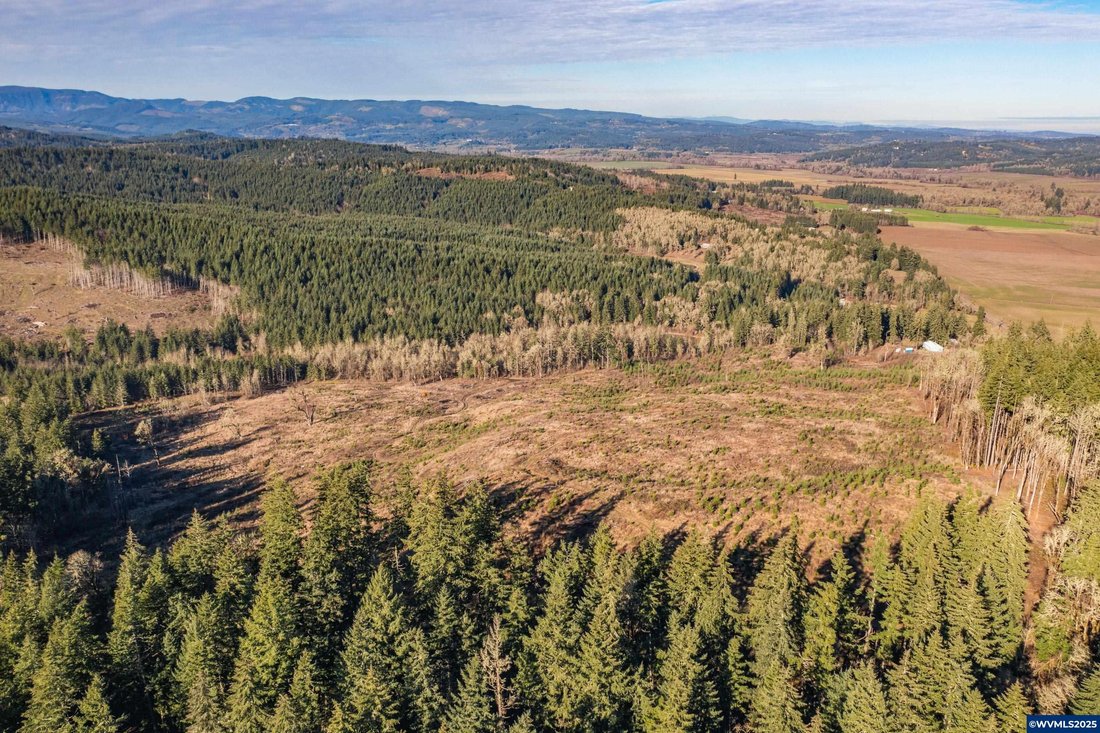 Land in Monmouth, Oregon, United States 3 - 15852869