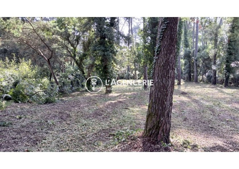 Land in Soorts-Hossegor, Nouvelle-Aquitaine, France 2 - 15768084