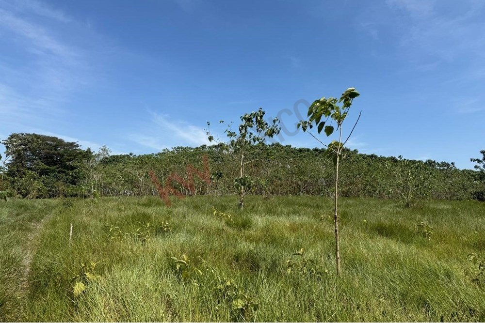 Land in Las Choapas, Veracruz, Mexico 3 - 15857310