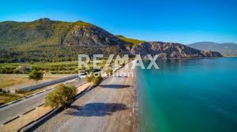 House in Vilia, Attica, Greece 2 - 15859217