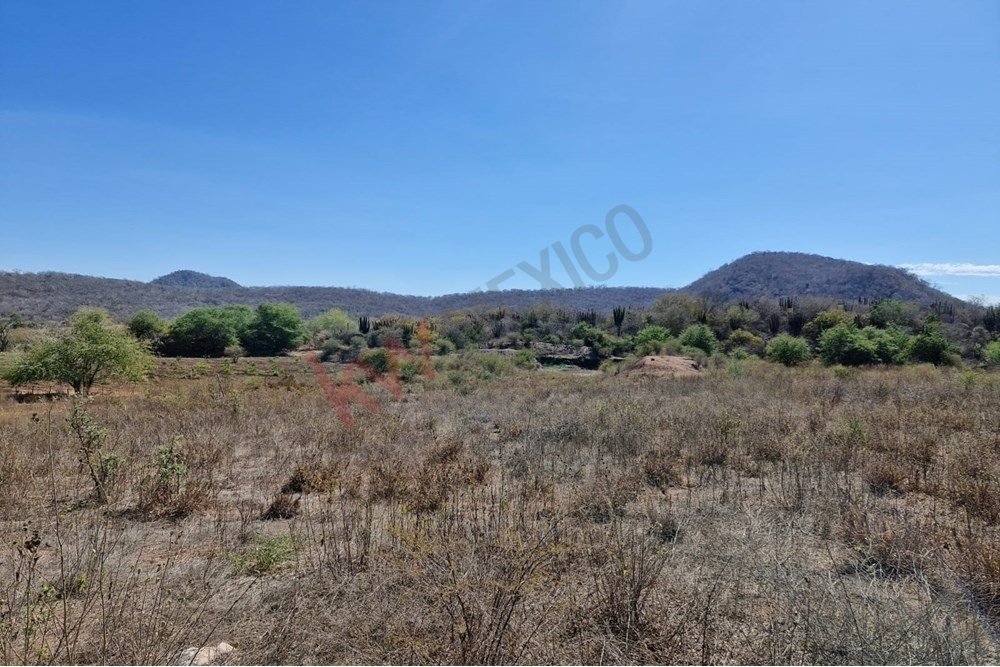Land in El Habal, Sinaloa, Mexico 4 - 15858737