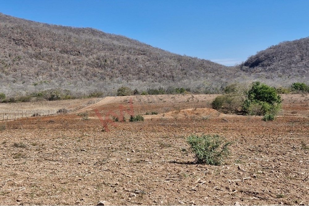 Land in El Habal, Sinaloa, Mexico 3 - 15858737