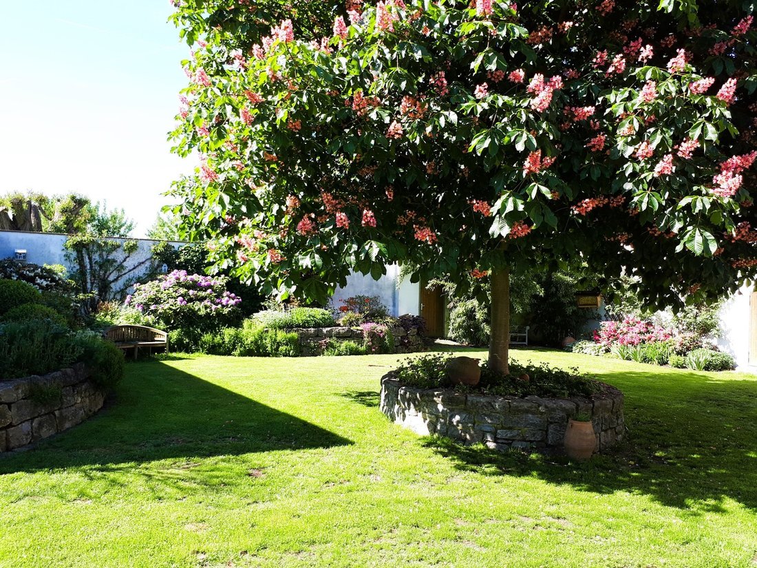 Farm Ranch in Limburg, Hessen, Germany 2 - 15239749