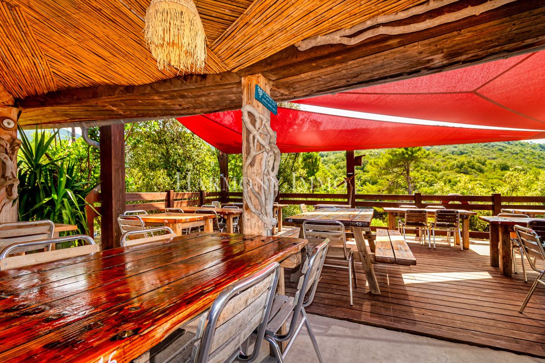 Whispers of the Wild: A Corsican Paradise Where Sea Meets Sky - 5