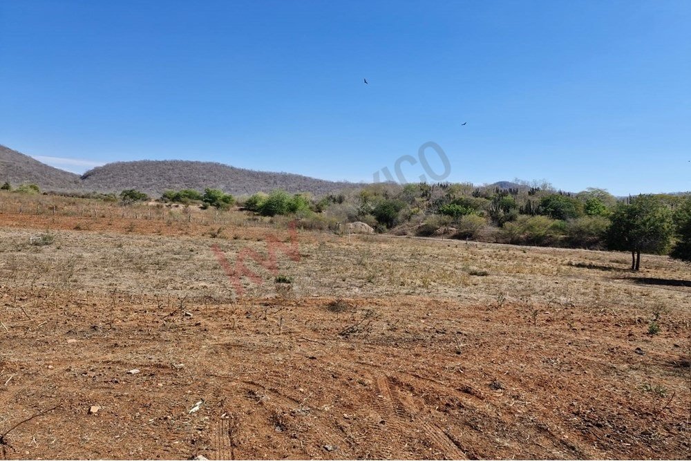 Land in El Habal, Sinaloa, Mexico 1 - 15858737