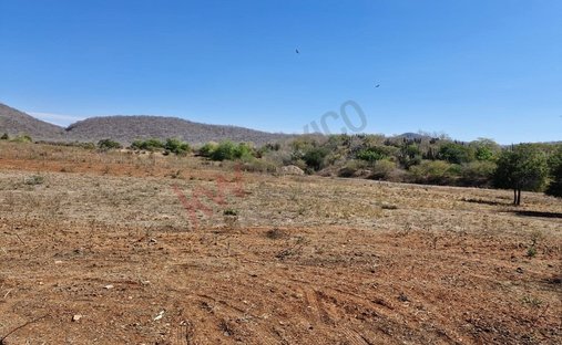 Terreno en El Habal, Sinaloa, México 1
