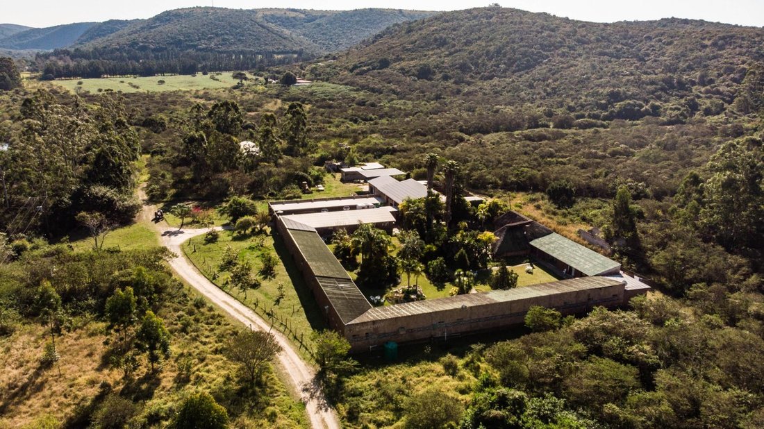 Farm Ranch in Summerpride, Eastern Cape, South Africa 4 - 15854080