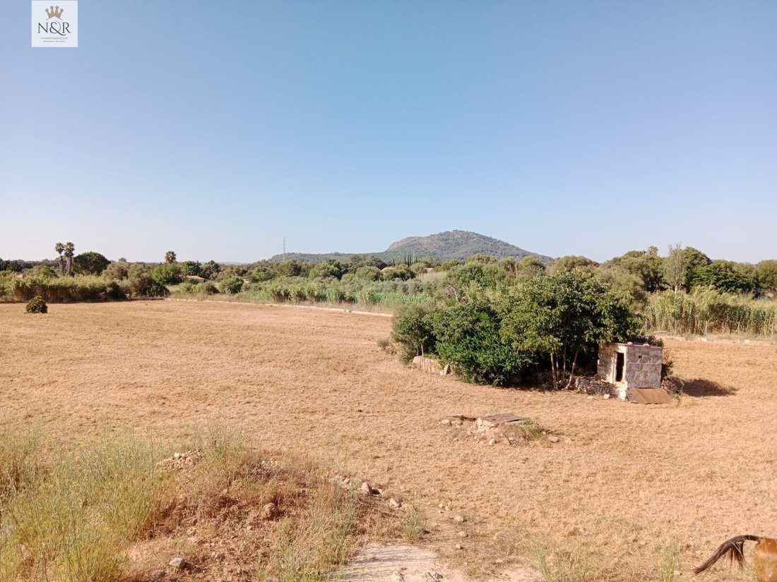 Country House in Buger, Balearic Islands, Spain 3 - 15856136