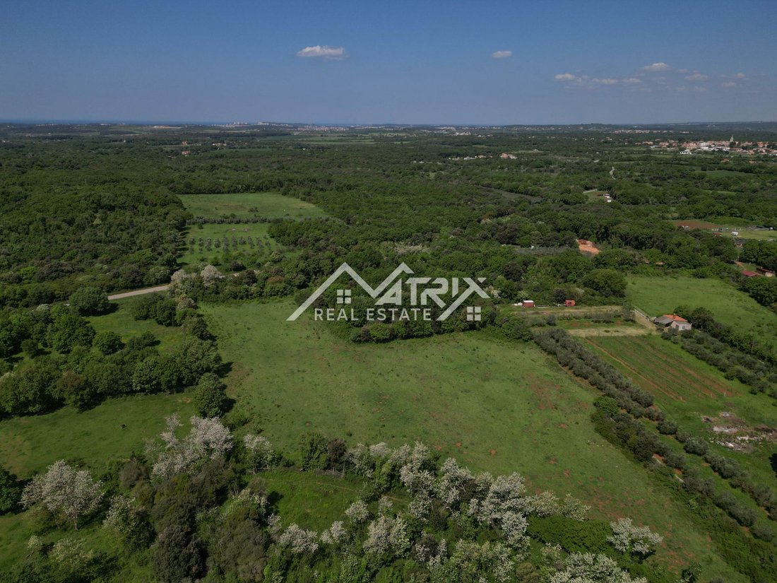 Land in Liznjan, Istria County, Croatia 2 - 15865013