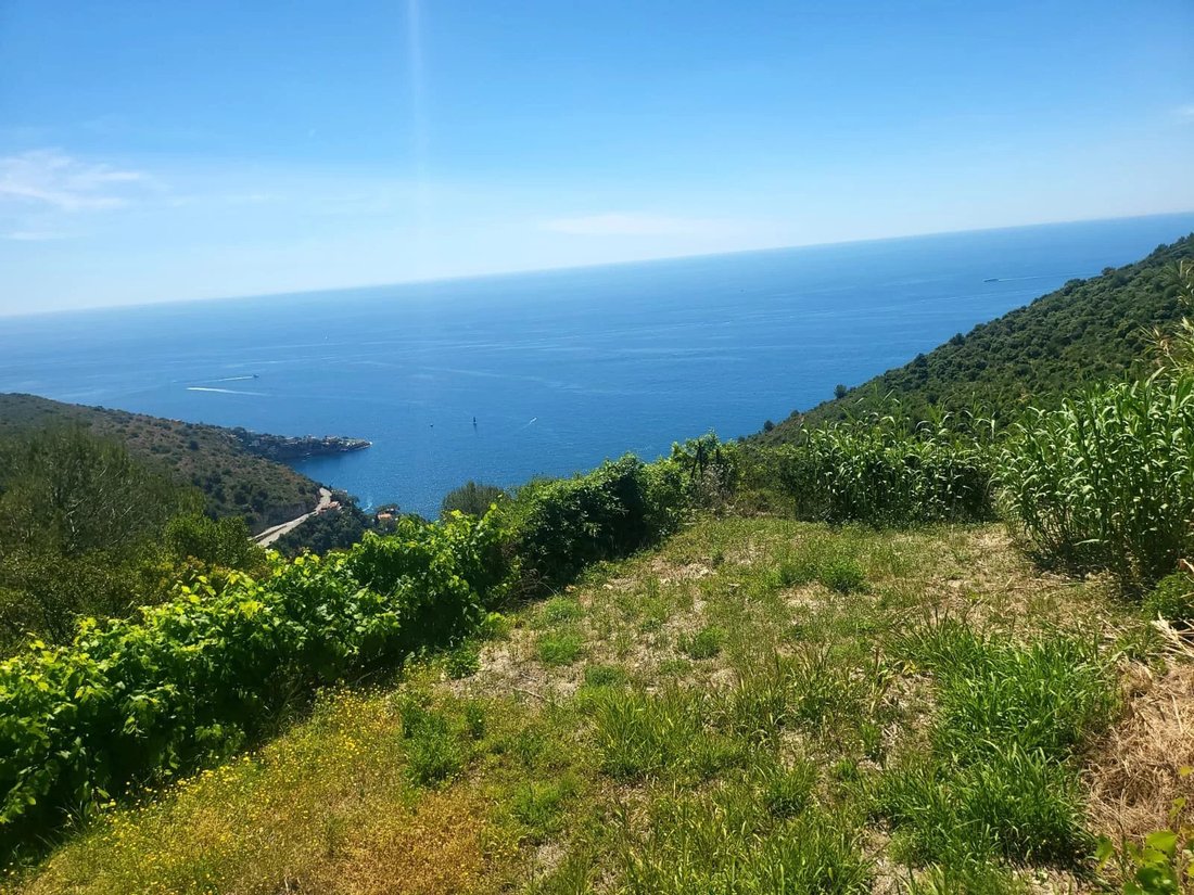 Land in Èze, Provence-Alpes-Côte d'Azur, France 2 - 15395088