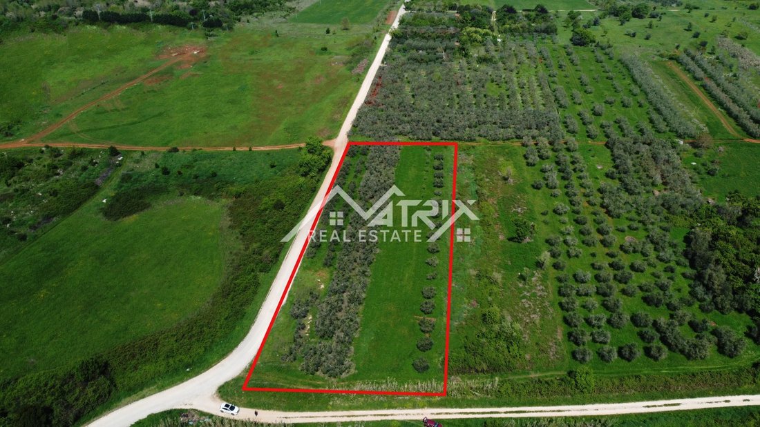 Land in Umag, Istria County, Croatia 5 - 15865057