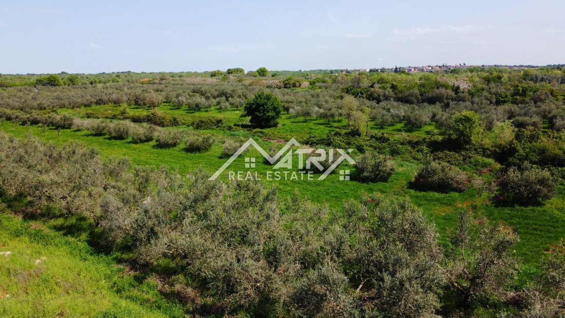 Land in Umag, Istria County, Croatia 2 - 15865057