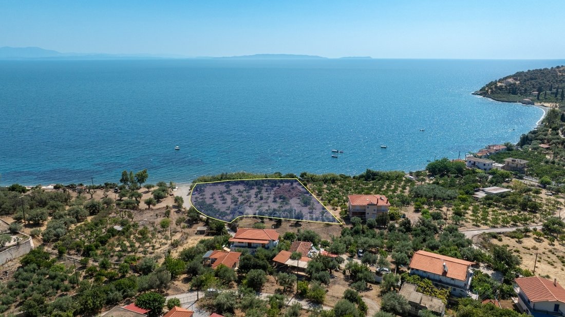 Land in Pragmateuti, Leonidio, Greece 4 - 15863670