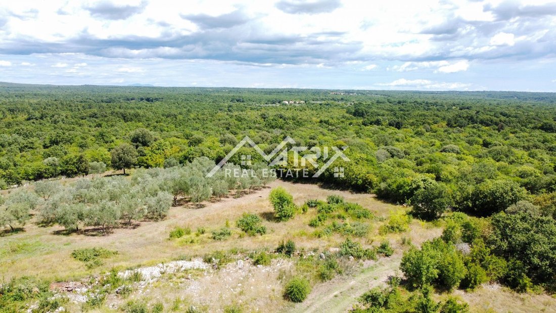 Land in Bale, Istria County, Croatia 5 - 15865849
