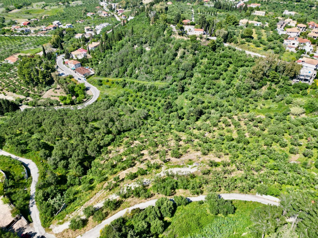 Land in Mpoxalis, Peloponnese, Western Greece and the Ionian, Greece 4 - 15863112
