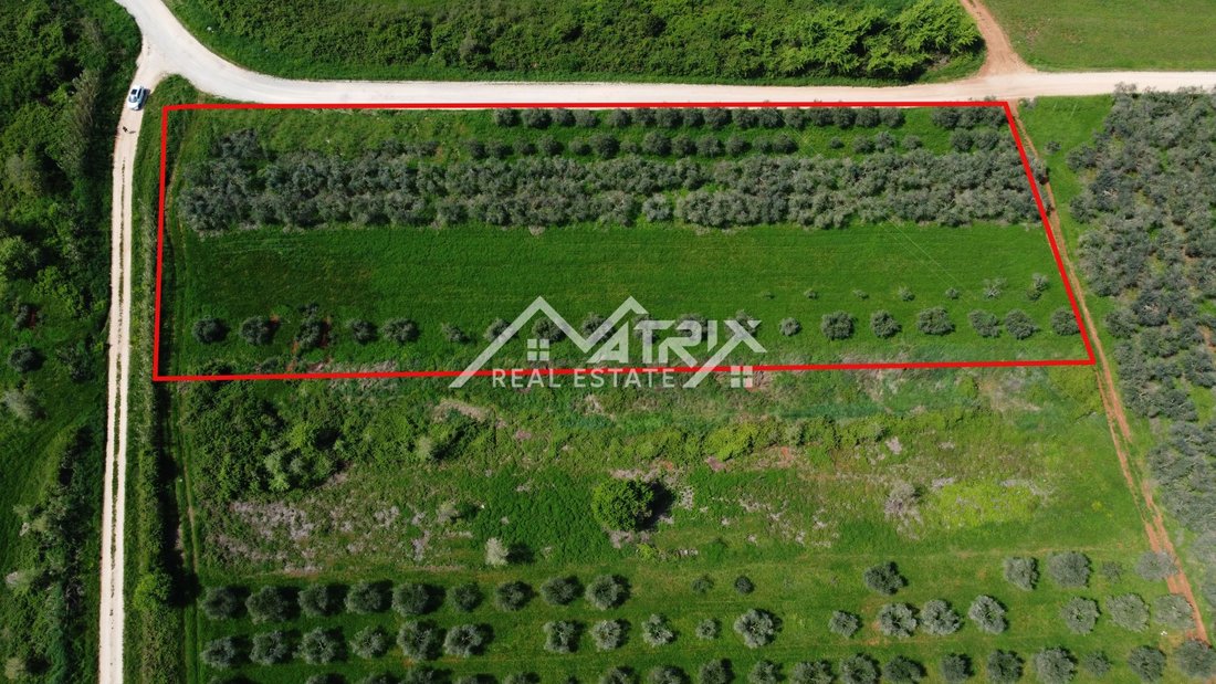 Land in Umag, Istria County, Croatia 4 - 15865057