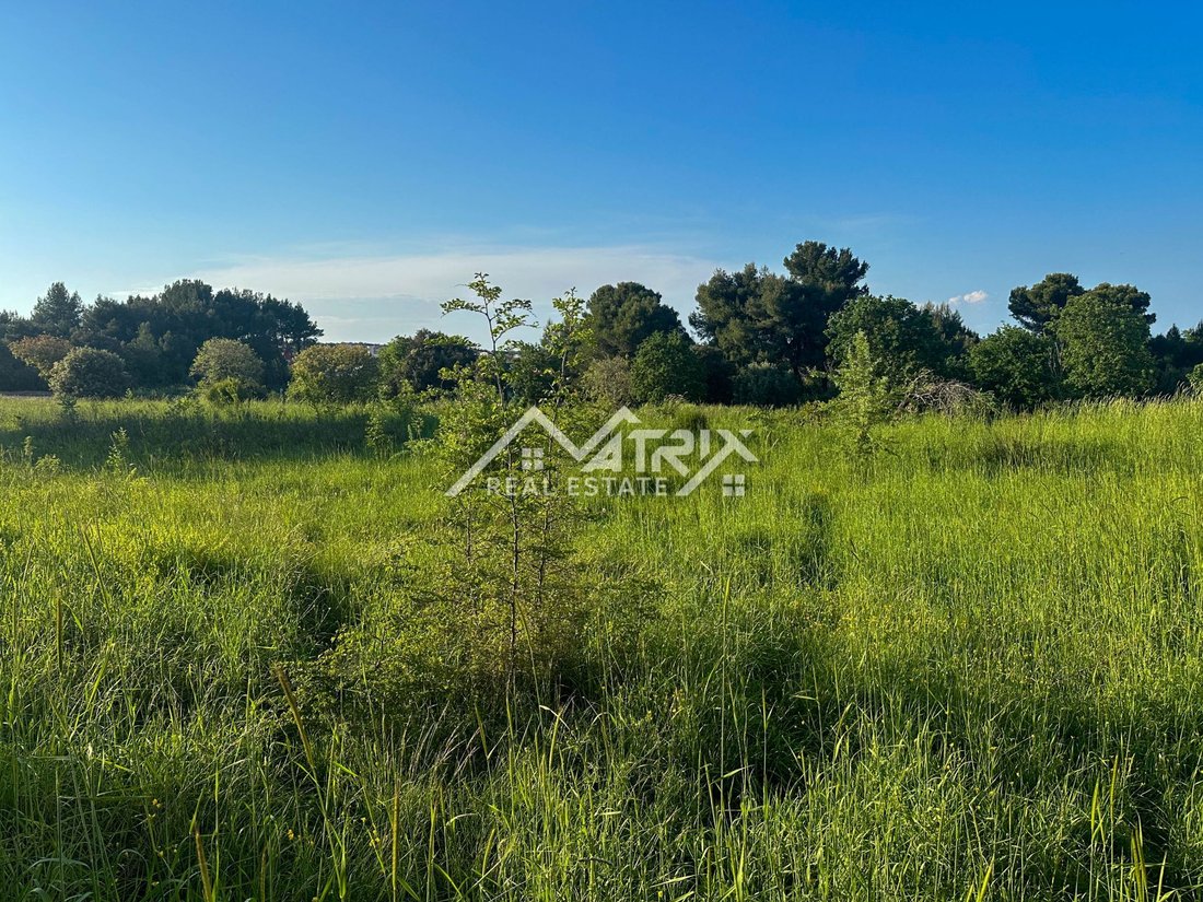 Land in Liznjan, Istria County, Croatia 2 - 15865032