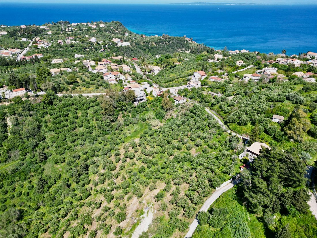 Land in Mpoxalis, Peloponnese, Western Greece and the Ionian, Greece 2 - 15863112