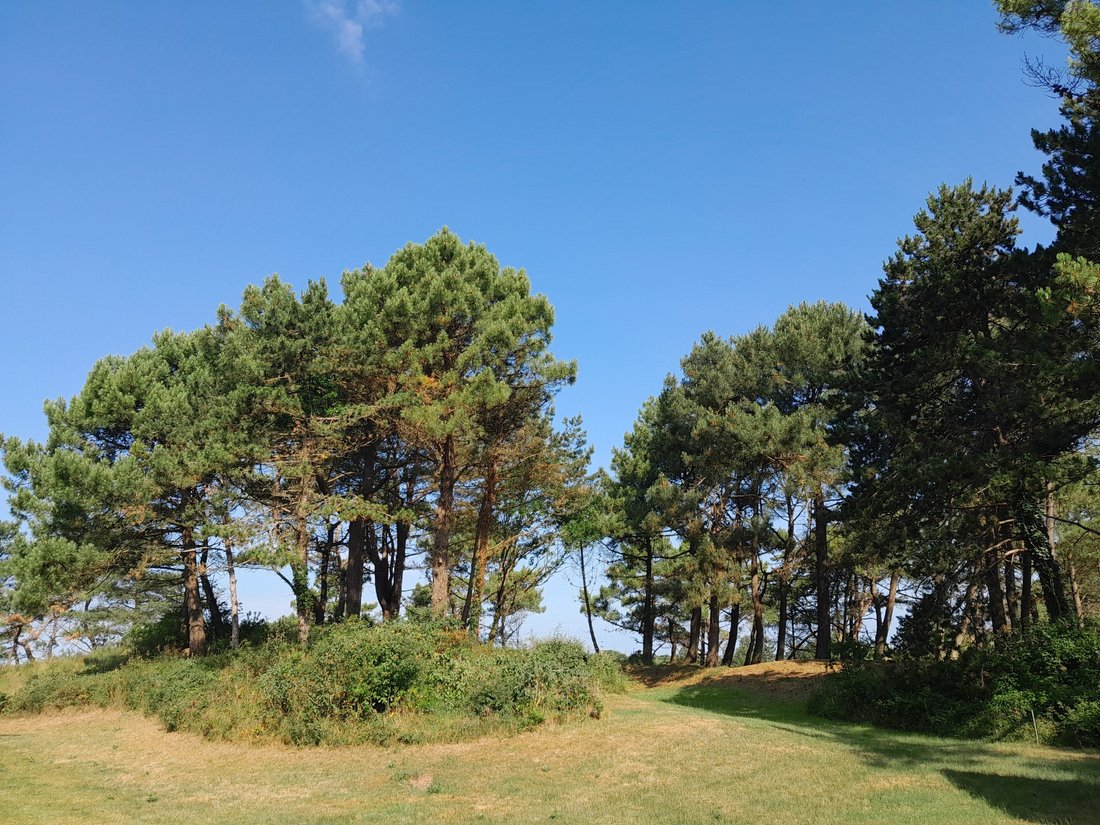 House in Littoral, Le Touquet-Paris-Plage, France 3 - 15826223