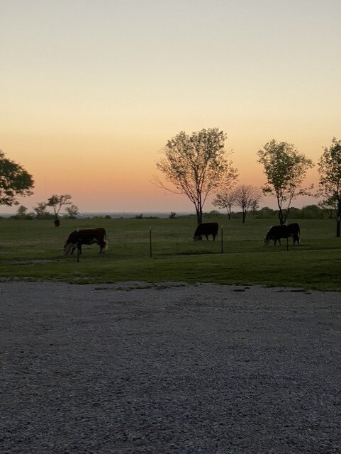 Land in Gunter, Texas, United States 3 - 15865670