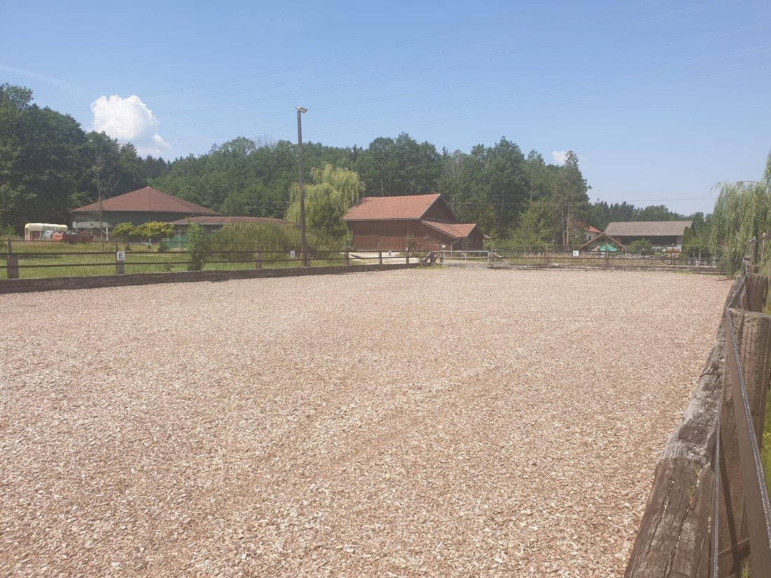Farm Ranch in Mattighofen, Upper Austria, Austria 5 - 15868240
