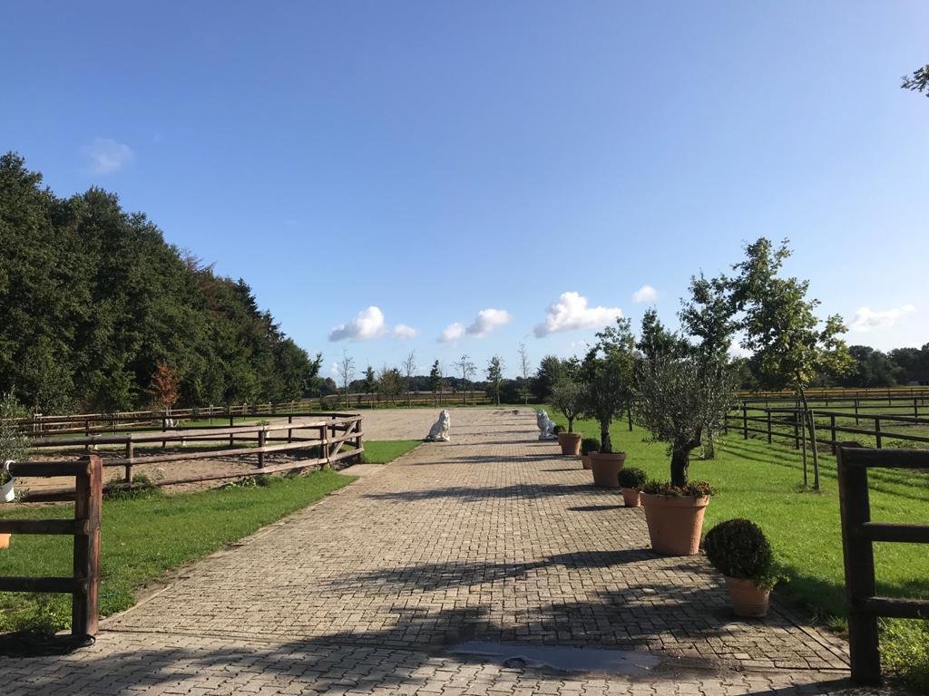 Farm Ranch in Bawinkel, Lower Saxony, Germany 1 - 15868292