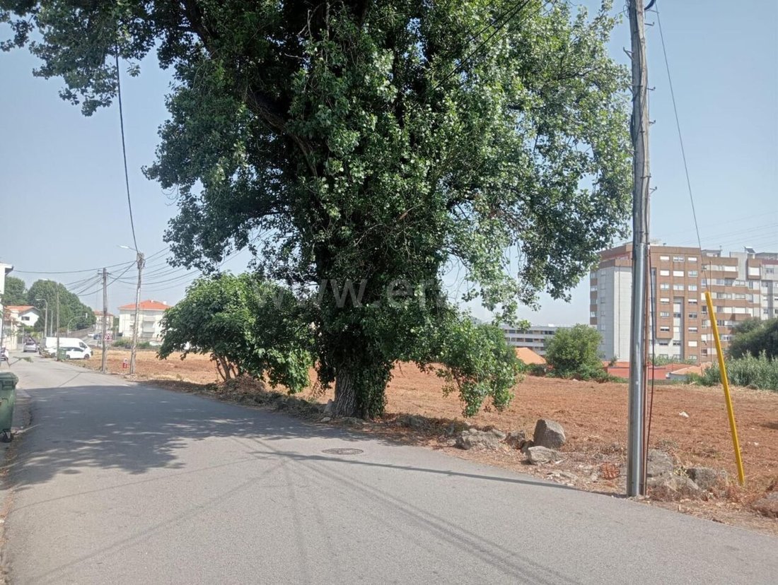 Terreno en Oliveira do Douro, Distrito de Oporto, Portugal 5 - 15708788